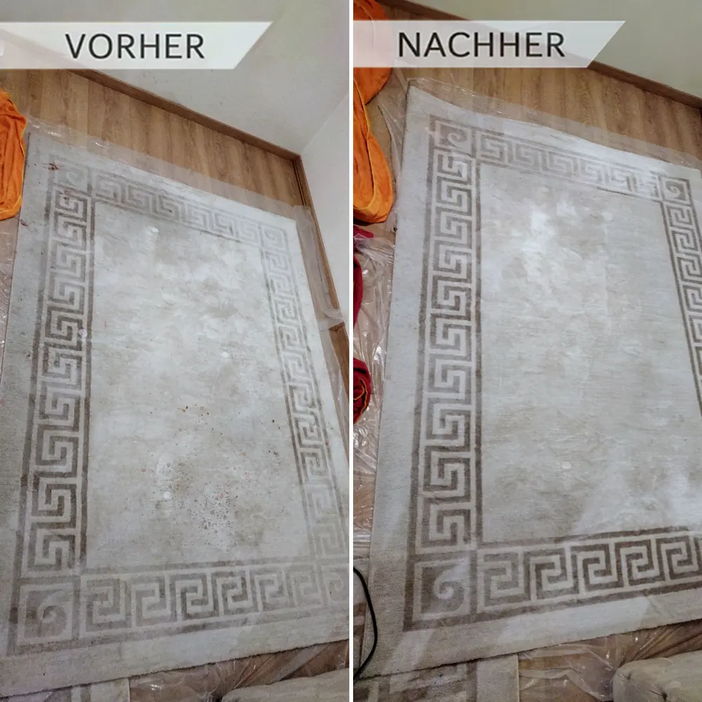 Teppich gruendlich gereinigt und aufgefrischt Teppich vor und nach der Teppichreinigung